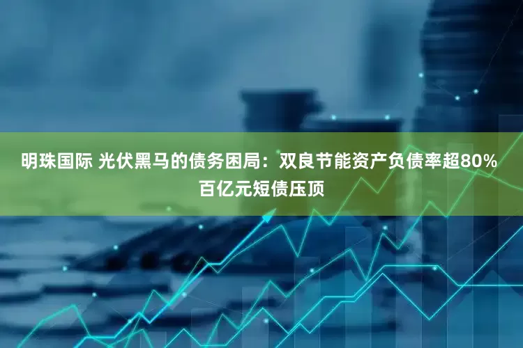 明珠国际 光伏黑马的债务困局：双良节能资产负债率超80% 百亿元短债压顶
